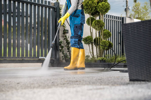 Best Gutter Cleaning and Brightening in Perkasie, PA